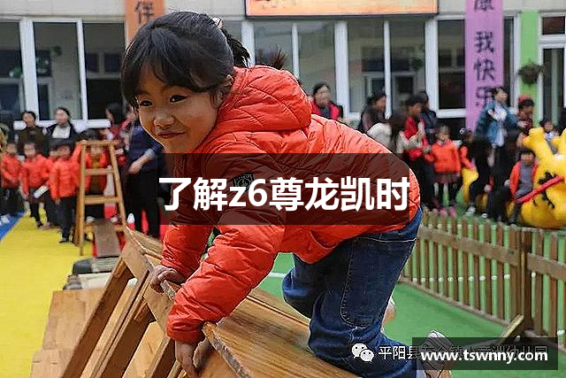 了解z6尊龙凯时